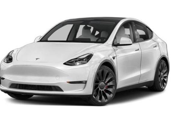 TESLA MODEL Y 2022 7SAYGDEE5NF319769 image